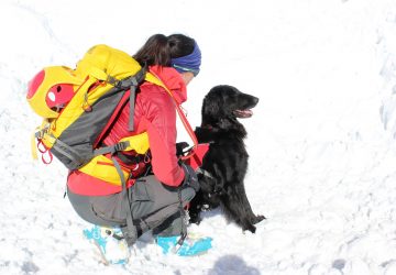 Introducing A New Book On Snowsports Safety Written To Inform And Educate Children With The Help Of Fjord, The Avalanche Rescue Dog